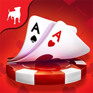 Zynga Chip